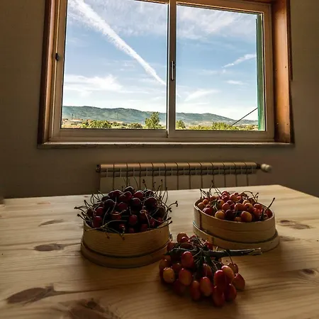 Holiday home Casa Do Luzio *